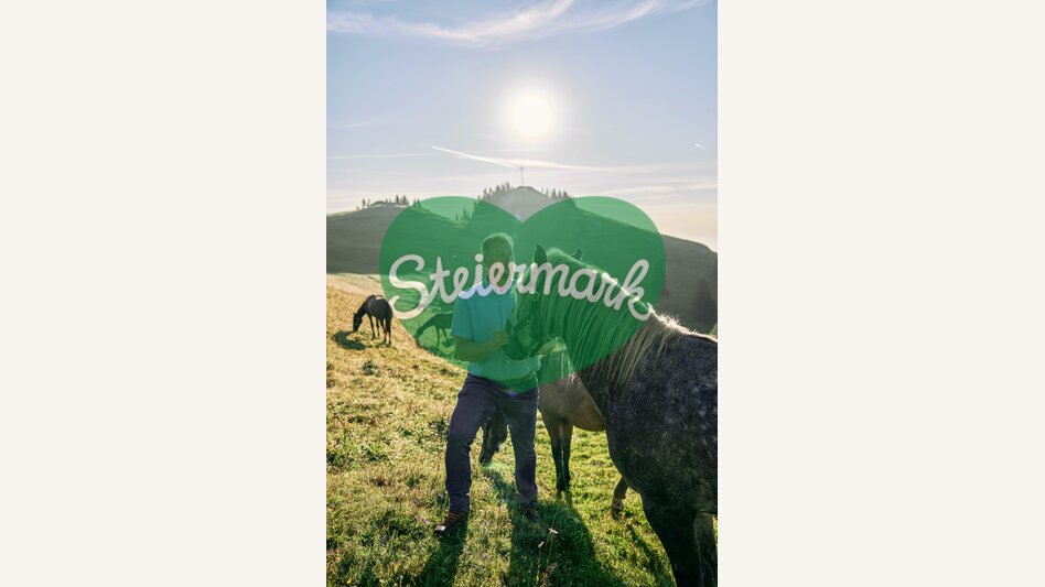 Lipizzaner auf der Sommerweide | © TV Region Graz | Robert Maybach