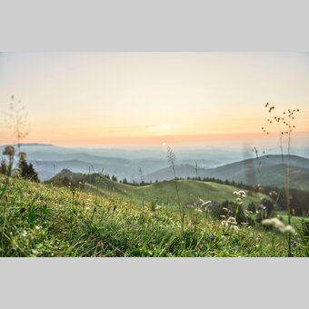 Auf der Stubalm | © TV Region Graz | Robert Maybach