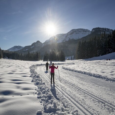 Langlaufen auf der Blaa-Alm | © STG | Tom Lamm