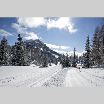 Langlaufen auf der Turracher Höhe | © STG | Tom Lamm