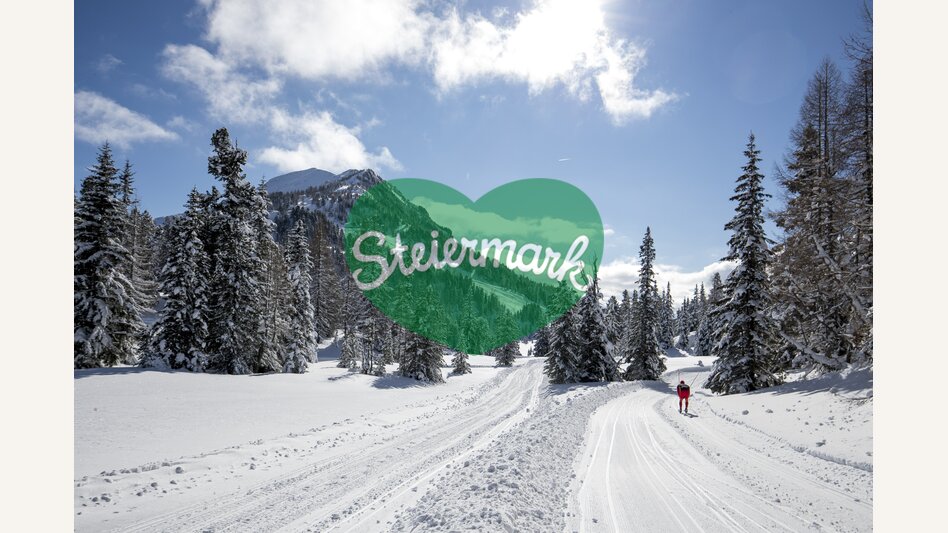 Langlaufen auf der Turracher Höhe | © STG | Tom Lamm