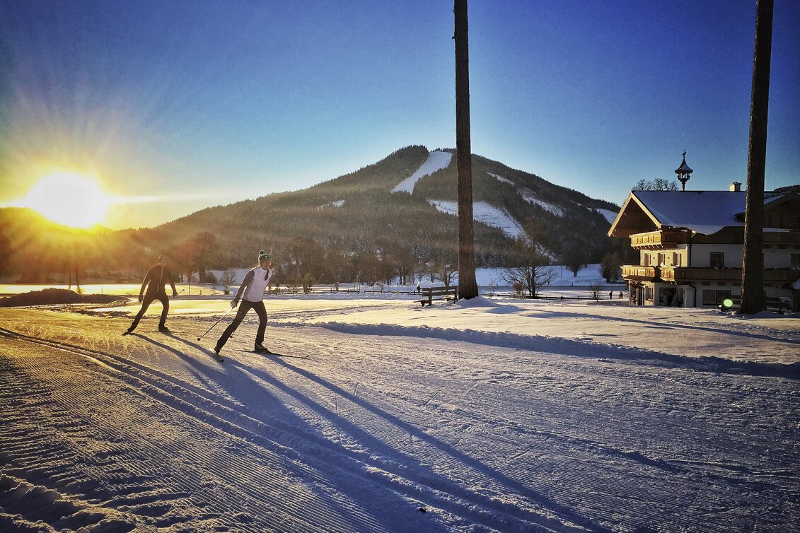 Langlaufen in Ramsau am Dachstein | © STG | Amra Candic