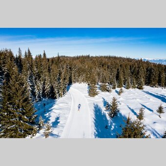 Langlaufen auf der Hebalm | © STG | Mias Photoart