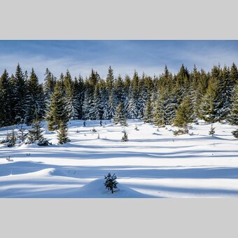 Langlaufen auf der Hebalm | © STG | Mias Photoart