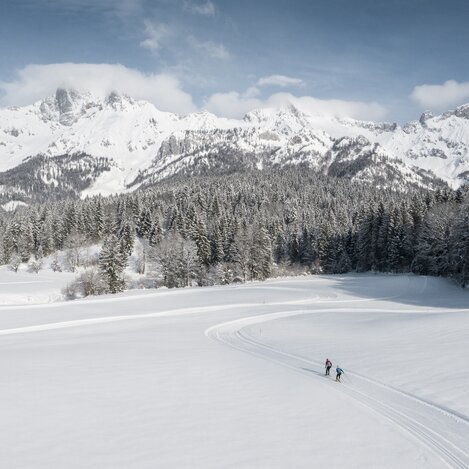 Langlaufen in Hall bei Admont | © TV Gesäuse | Stefan Leitner