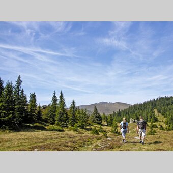 Wanderung über die Koralm und Weinebene | © STG | Harry Schiffer