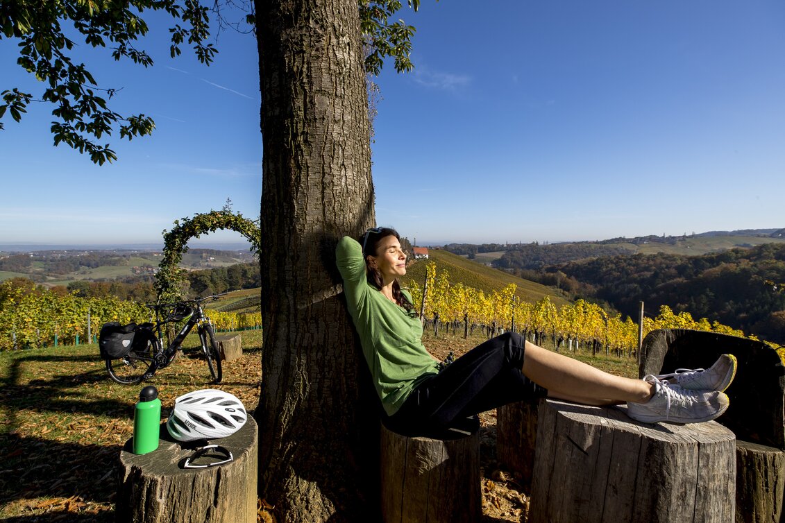Radfahren auf der Weinland Steiermark Radtour | © STG | Tom Lamm