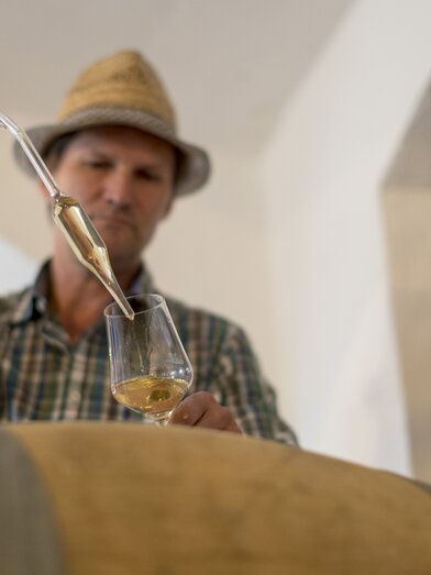 Winegrower Hans Söll, Sernauberg | © Südsteiermark | Tom Lamm