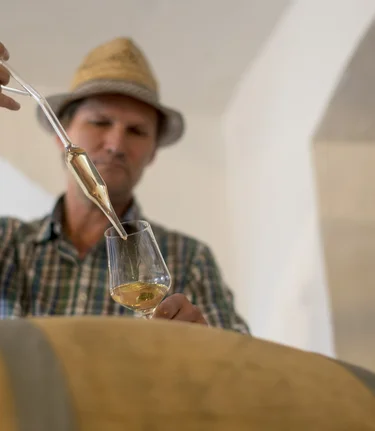 Winegrower Hans Söll, Sernauberg | © Südsteiermark | Tom Lamm