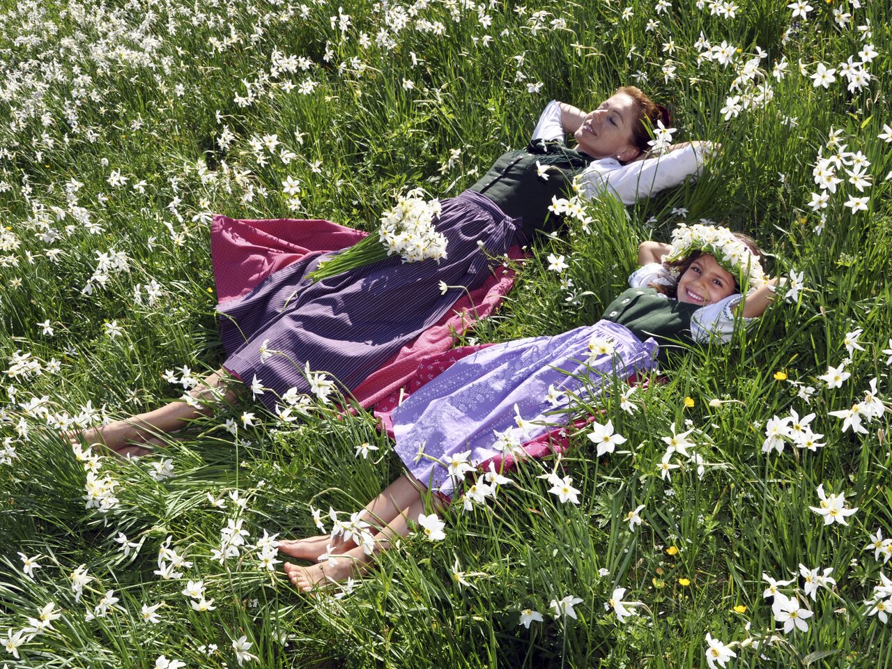 Narzissenwiese | © Steiermark Tourismus | Gery Wolf