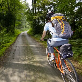 On the way in the UNESCO Biosphärenpark | © Steiermark Tourismus | Gerhard Eisenschink