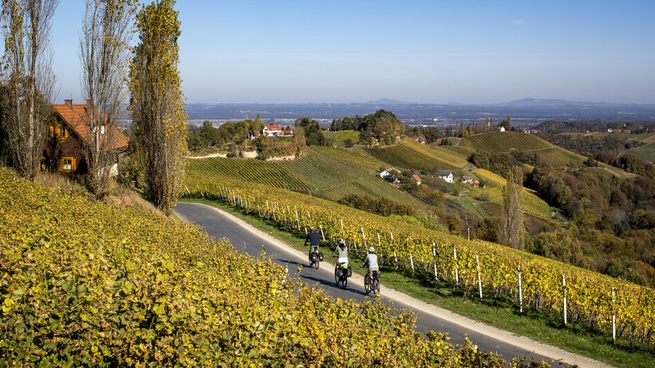 Cycling at the Styrian Wine Country Cycling Tour | © Steiermark Tourismus | Tom Lamm