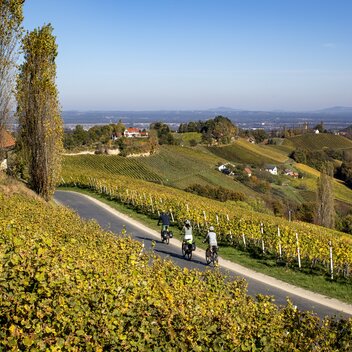 Radfahren auf der Weinland Steiermark Radtour | © STG | Tom Lamm