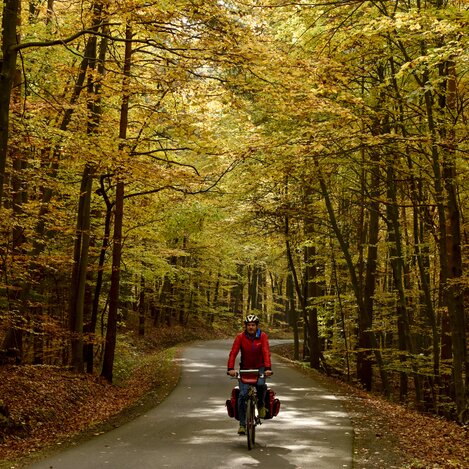 Radeln bei bei St. Anna am Aigen | © STG | Thorsten Brönner