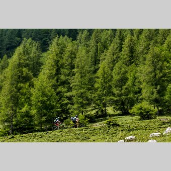 Mountainbiken in den Fischbacher Alpen | © STG | Manfred Polansky