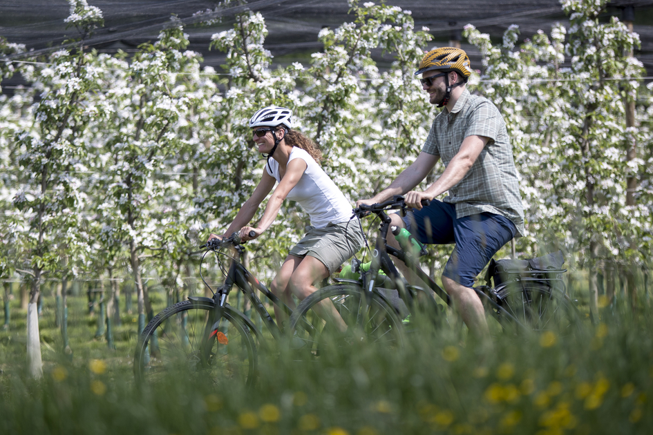 Cycling in spring | © Steiermark Tourismus | Tom Lamm