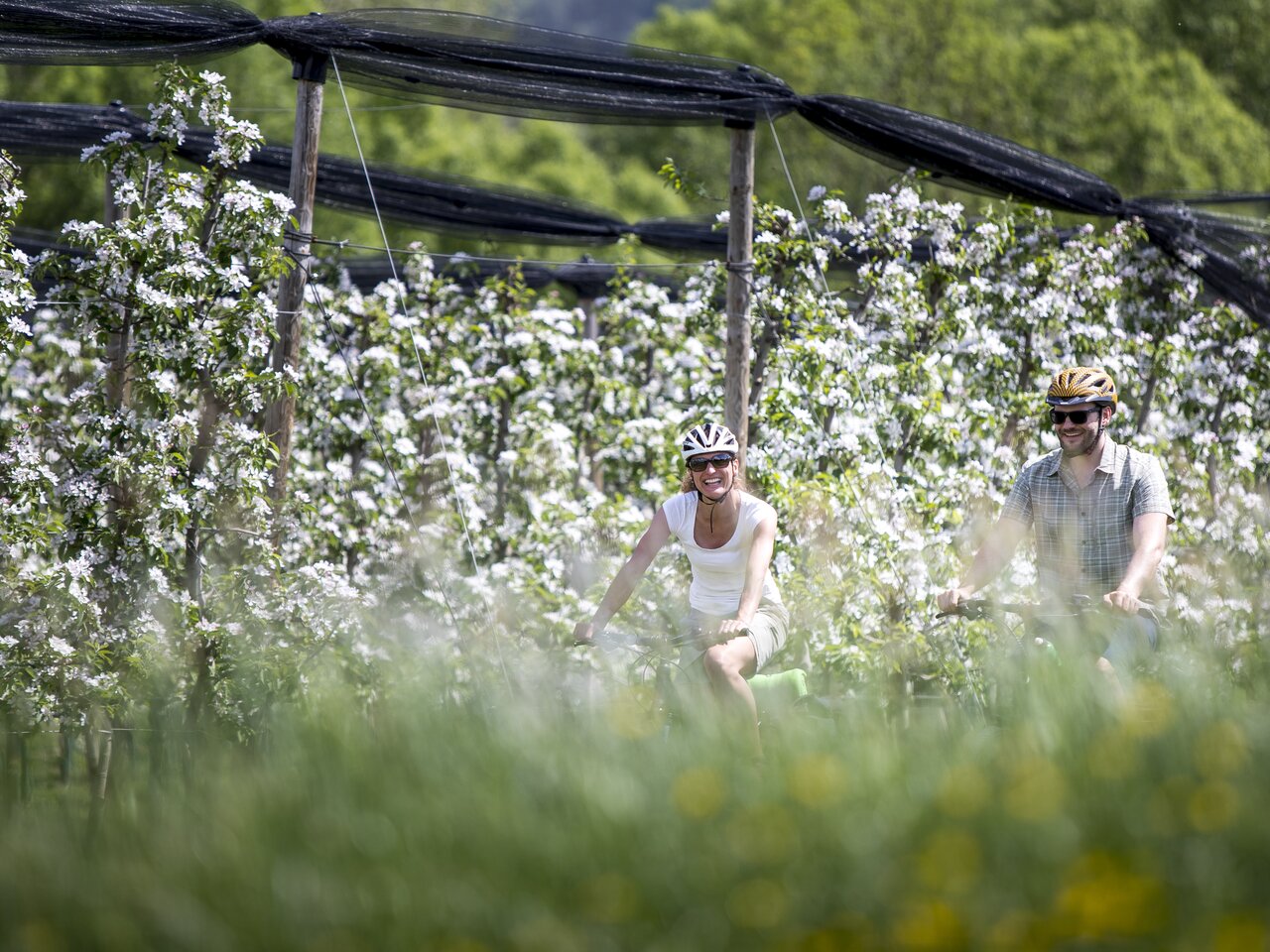 Cycling in spring | © Steiermark Tourismus | Tom Lamm