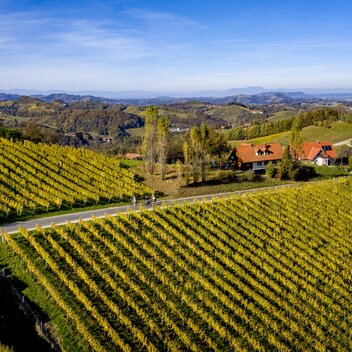 Radfahrer auf der Weinland Steiermark Radtour | © STG | Tom Lamm