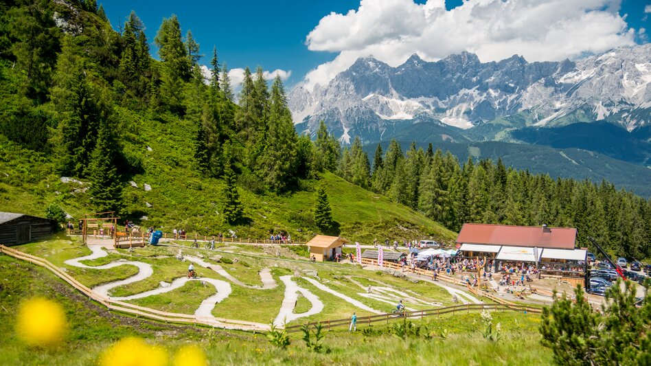 Junior Trail Park auf der Reiteralm in Schladming-Dachstein | © TVB Schladming-Dachstein | Junior Trails Reiteralm
