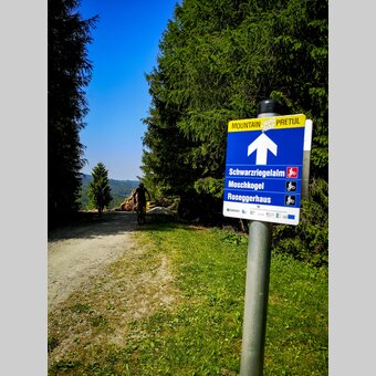 Mountainbiken auf der Pretul und am Stuhleck | © STG | Gleichweit-Nistelberger