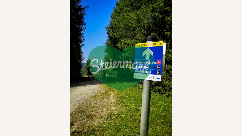 Mountainbiken auf der Pretul und am Stuhleck | © STG | Gleichweit-Nistelberger
