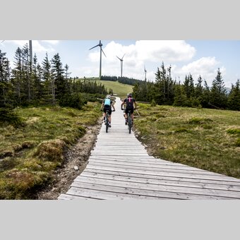 Mountainbiken auf der Pretul und am Stuhleck | © STG | Gleichweit-Nistelberger