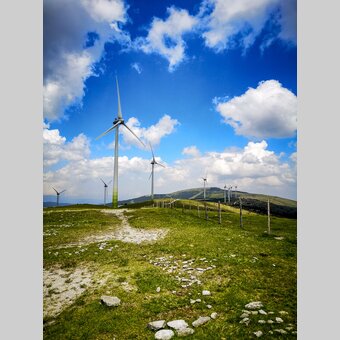 Auf der Pretul | © STG | Gleichweit-Nistelberger