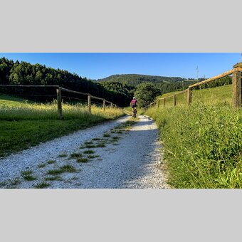 Radfahren rund ums Gestüt Piber | © STG | Klein