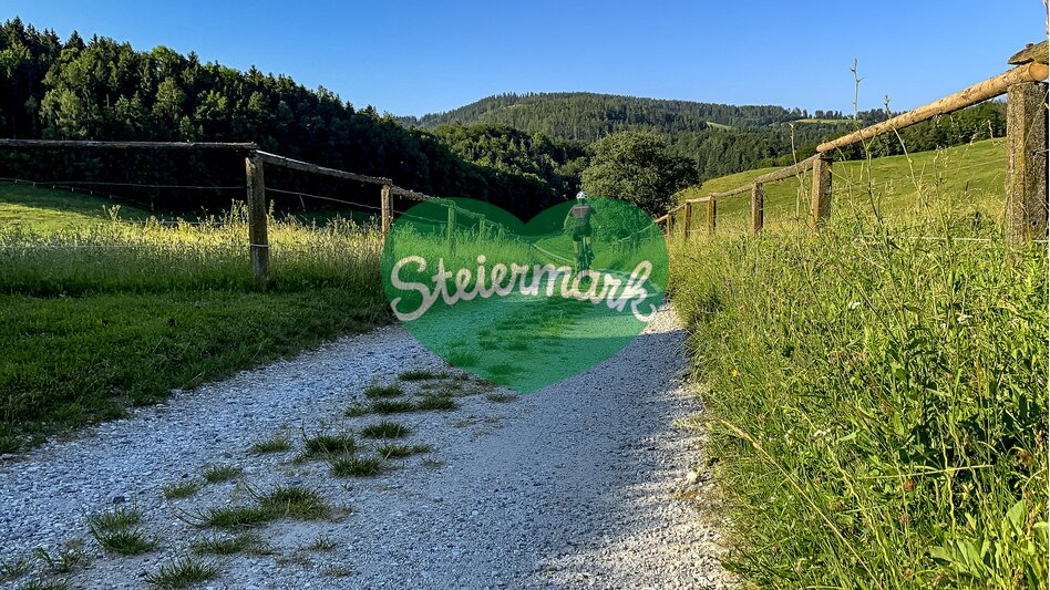 Radfahren rund ums Gestüt Piber | © STG | Klein