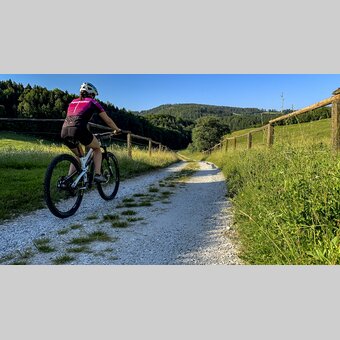 Radfahren in der Lipizzanerheimat | © STG | Klein