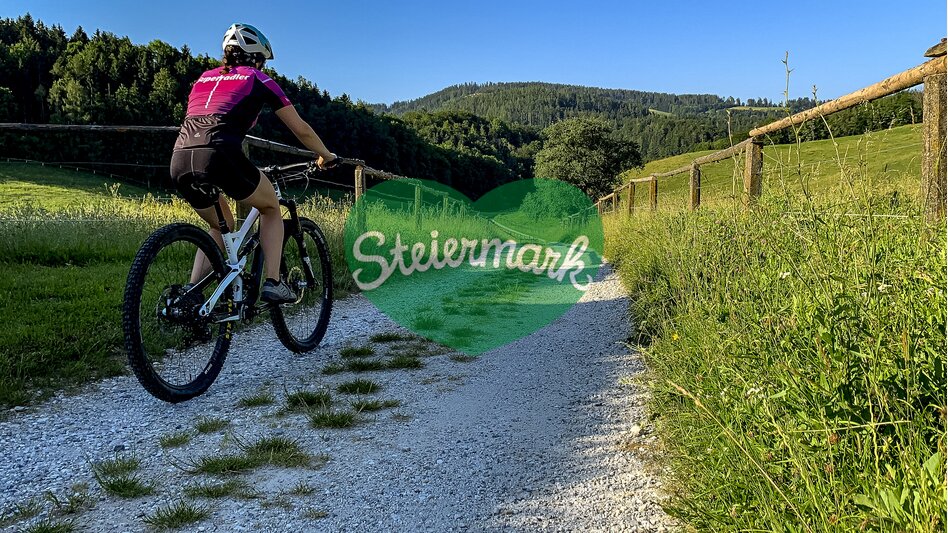 Radfahren in der Lipizzanerheimat | © STG | Klein