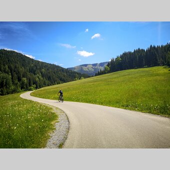 Im Naturpark Zirbitzkogel-Grebenzen | © STG | Gleichweit-Nistelberger