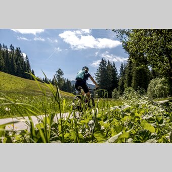 Im Naturpark Zirbitzkogel-Grebenzen | © STG | Gleichweit-Nistelberger