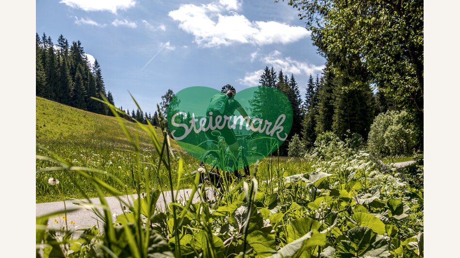 Im Naturpark Zirbitzkogel-Grebenzen | © STG | Gleichweit-Nistelberger