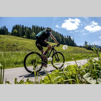 Im Naturpark Zirbitzkogel-Grebenzen | © STG | Gleichweit-Nistelberger