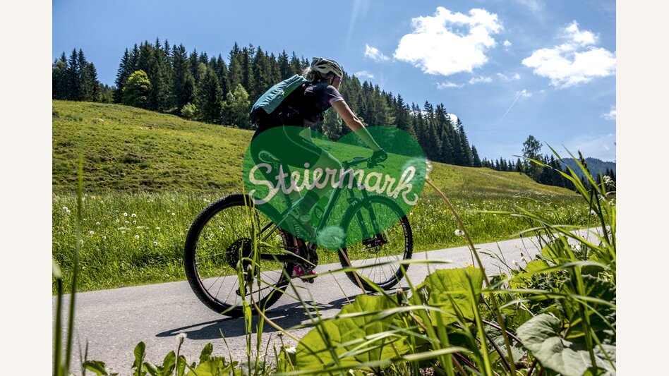 Im Naturpark Zirbitzkogel-Grebenzen | © STG | Gleichweit-Nistelberger