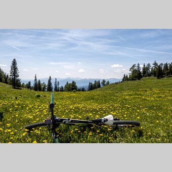 Im Naturpark Zirbitzkogel-Grebenzen | © STG | Gleichweit-Nistelberger