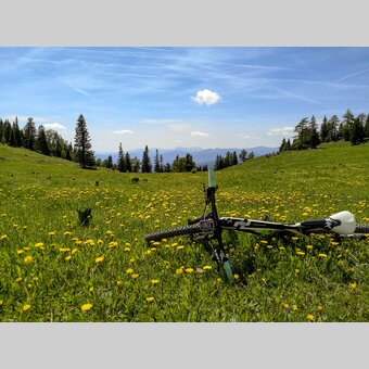 Im Naturpark Zirbitzkogel-Grebenzen | © STG | Gleichweit-Nistelberger