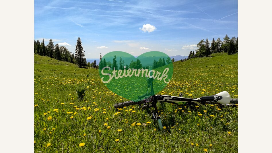 Im Naturpark Zirbitzkogel-Grebenzen | © STG | Gleichweit-Nistelberger