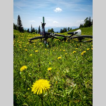 Im Naturpark Zirbitzkogel-Grebenzen | © STG | Gleichweit-Nistelberger