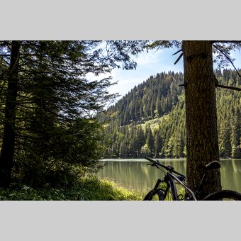 Im Naturpark Zirbitzkogel-Grebenzen | © STG | Gleichweit-Nistelberger