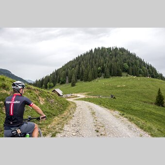 Dürriegelalm zwischen Mariazeller Land und Naturpark Mürzer Oberland | © STG | Gleichweit-Nistelberger