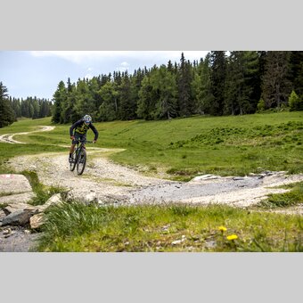 Auf der Frauenalpe | © STG | Gleichweit-Nistelberger