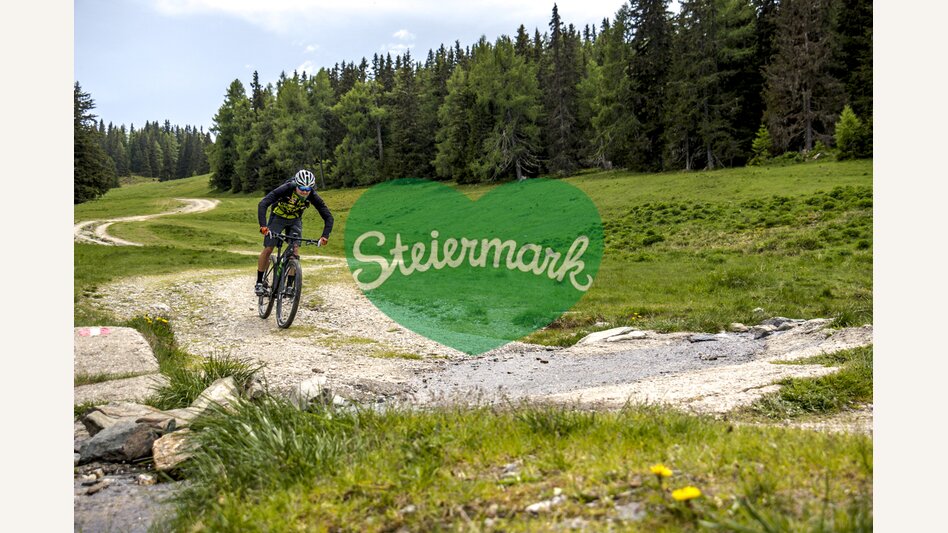 Auf der Frauenalpe | © STG | Gleichweit-Nistelberger