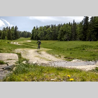 Auf der Frauenalpe | © STG | Gleichweit-Nistelberger