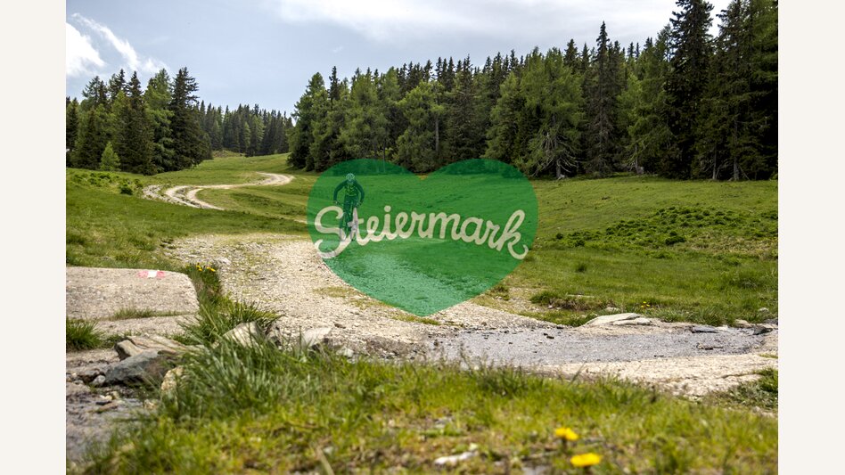 Auf der Frauenalpe | © STG | Gleichweit-Nistelberger