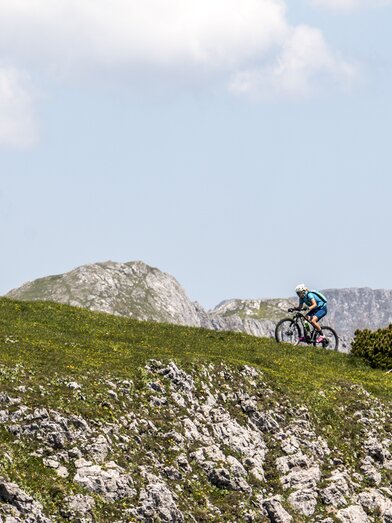 Aflenzer Bürgeralm | © Steiermark Tourismus | Gleichweit-Nistelberger