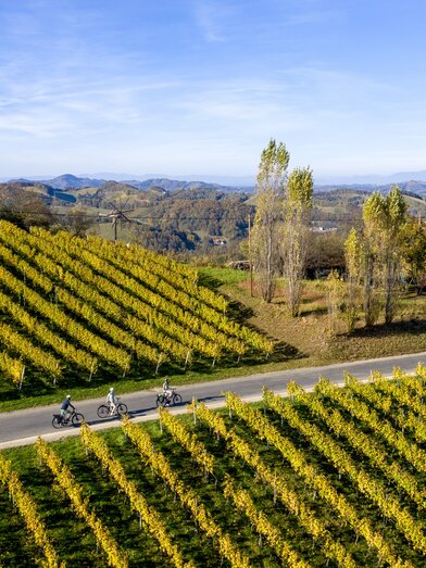 Styrian Wine Country Cycling Tour near Gamlitz | © Steiermark Tourismus | Tom Lamm