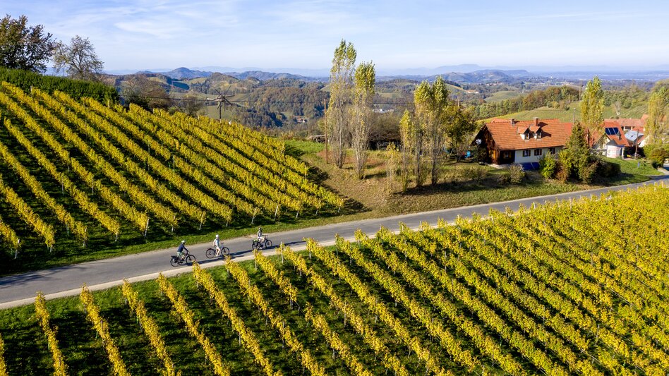 Styrian Wine Country Cycling Tour near Gamlitz | © Steiermark Tourismus | Tom Lamm