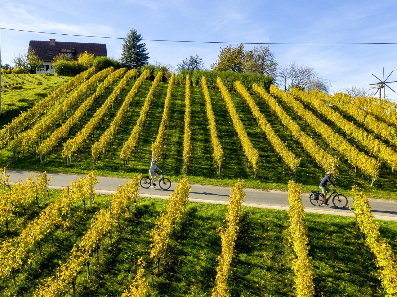 Radfahren im Weinland Steiermark | © STG | Tom Lamm